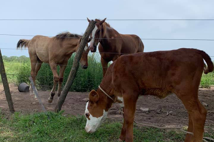 Dia de Campo - La Fernanda