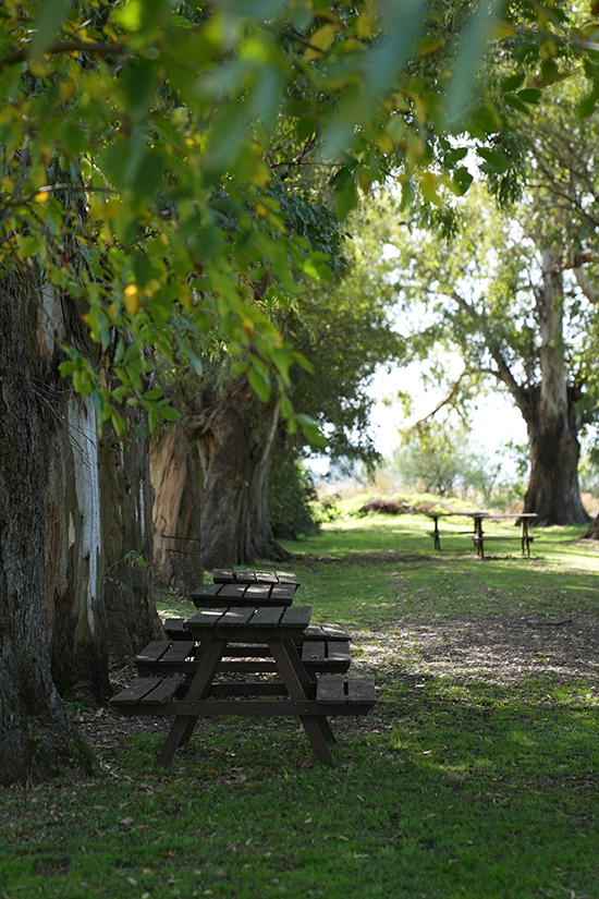 Dia de Campo - La Fernanda